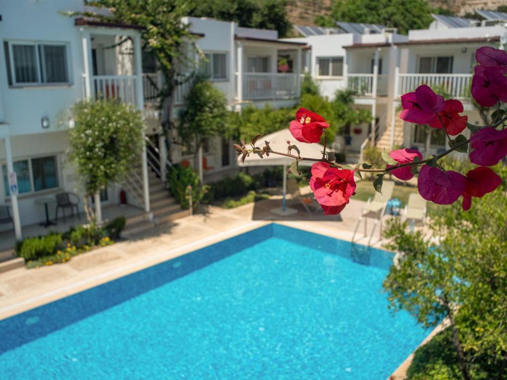 Hotel Gümüşlük Buitenkant foto